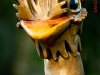 11-03-2012-i-nis-aqui-traveiz-288