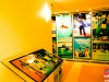 tv-restinga_em-brasilia-37