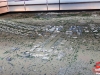 tv-restinga_em-brasilia-83