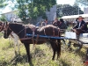 cavalgada_saojorge-15