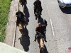 cavalgada_saojorge-44