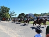 cavalgada_saojorge-71