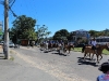 cavalgada_saojorge-73
