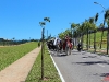 cavalgada_saojorge-83