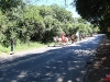 cavalgada_saojorge-96