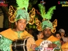 estadomaiordarestinga_carnaval2014d-47