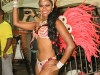 estadomaiordarestinga_carnaval2014p-34