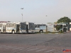 greve_onibus_restinga-14