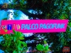 planeta_03-02-2012-172