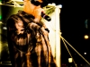 shows38semanadarestinga-505