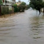 img_TEMPORAL150X150