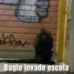 img_BUGIO